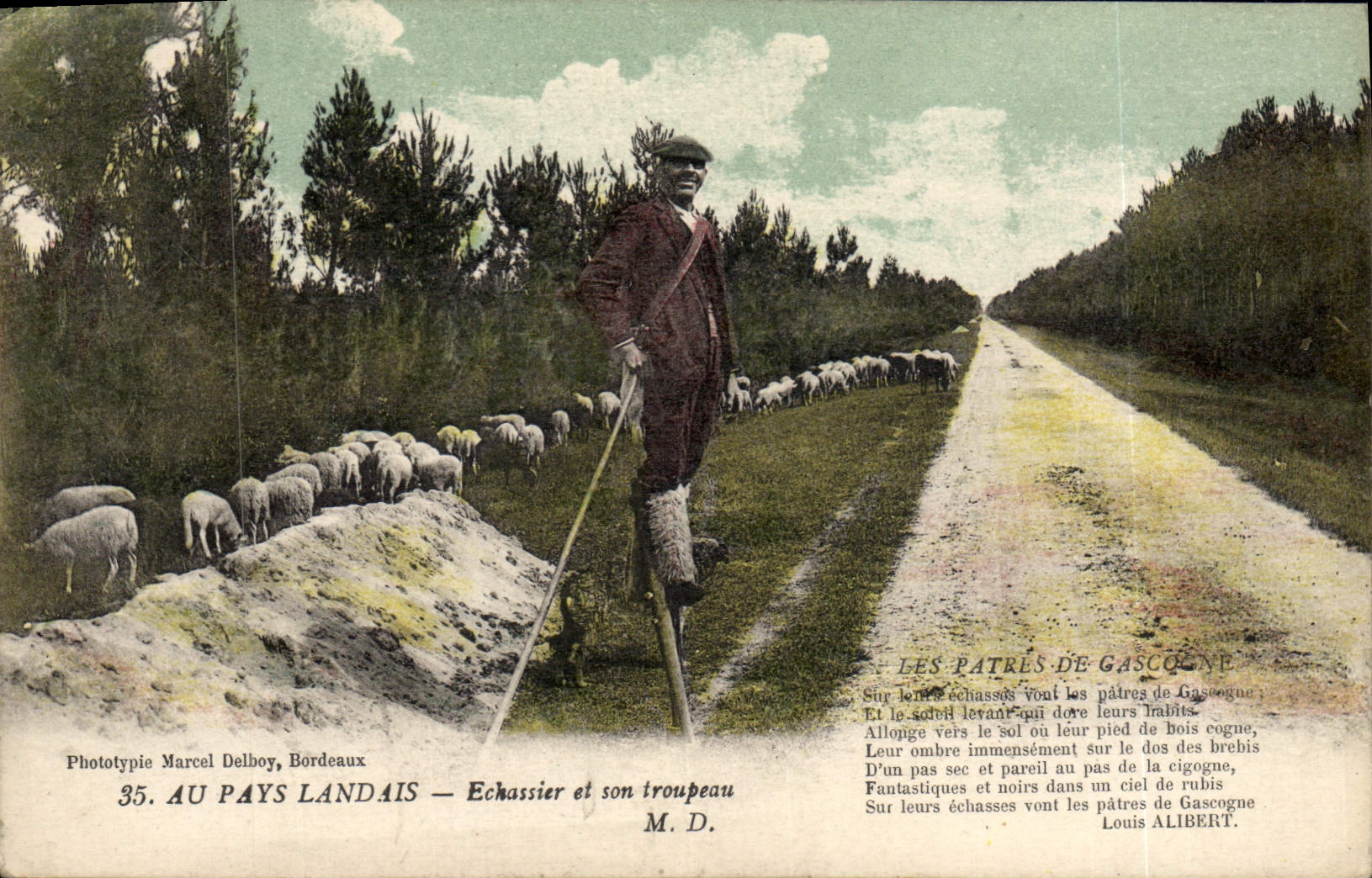 Postal Folclore al País landais a Corremolinos y a su manada Ovejas