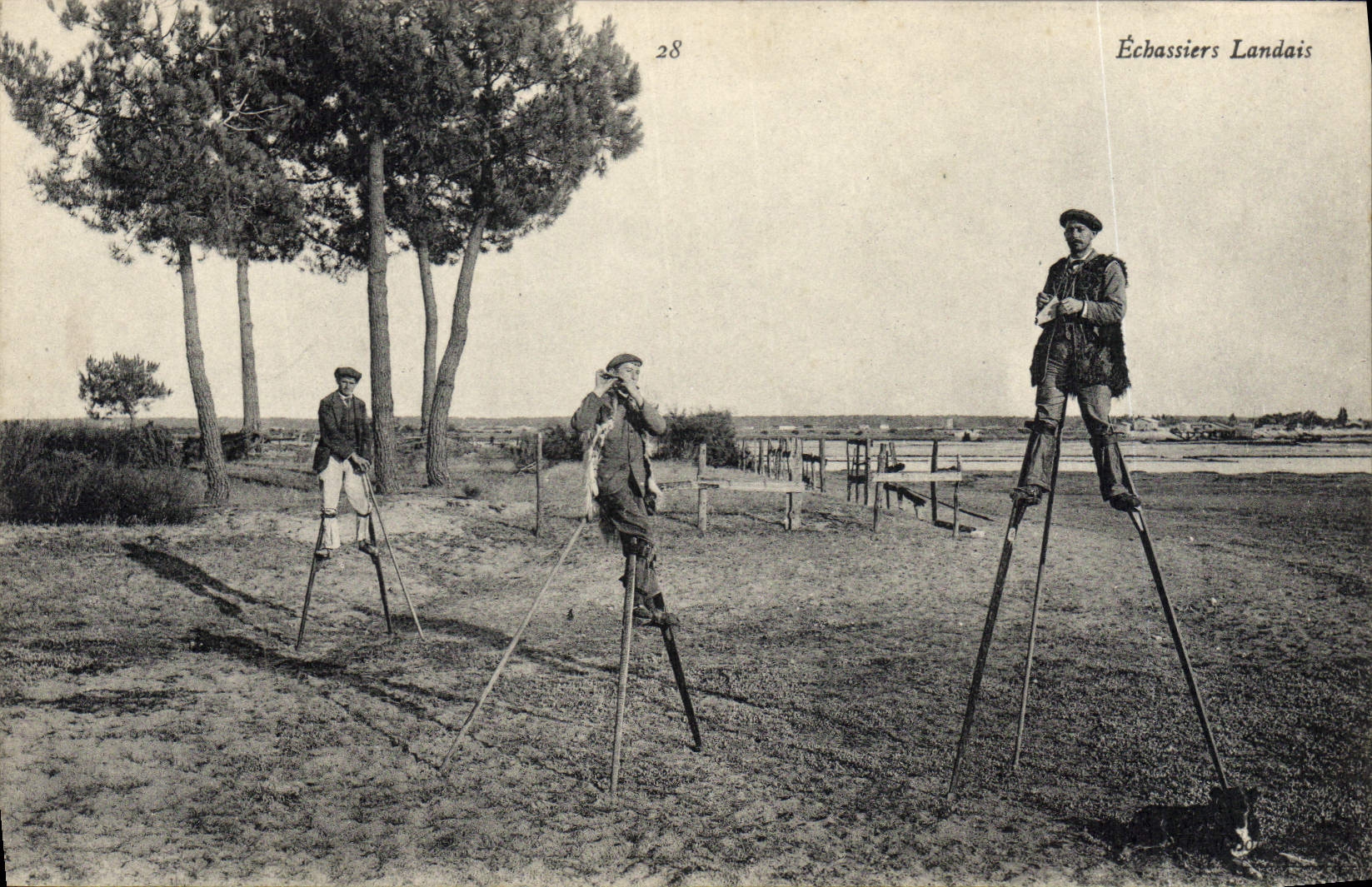 CPA Folklore Echassiers landais 