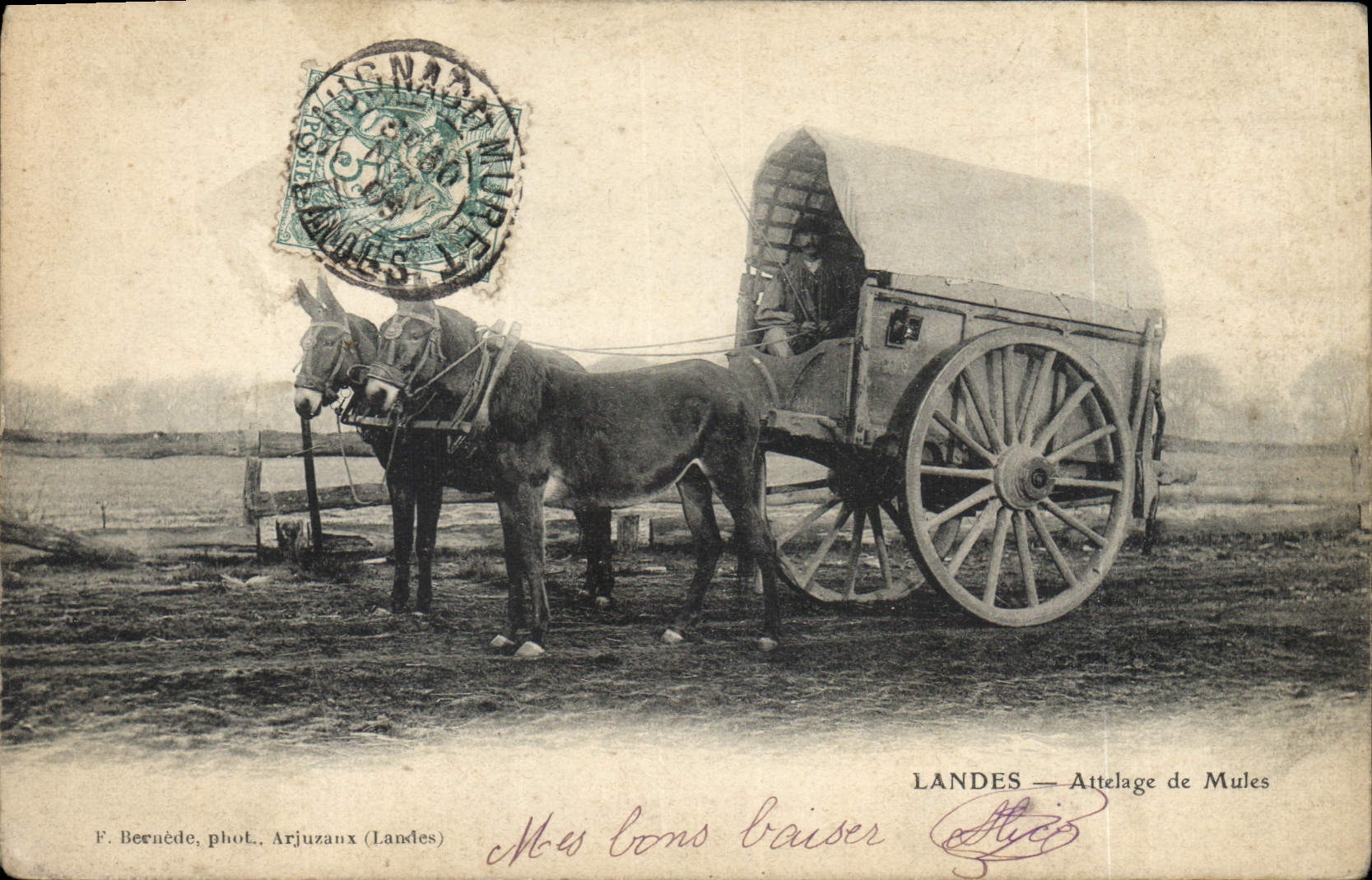 CPA Folklore Landes Attelage de mules 