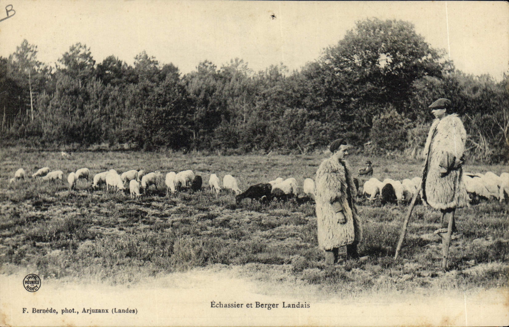CPA Folklore Echassier et berger landais Moutons 