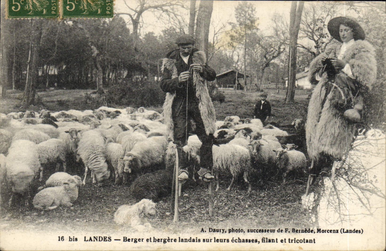 Postal Folclore Landas Pastor y pastora landais sobre sus zancos fugaz y que hacían punto Ovejas CUMBRE