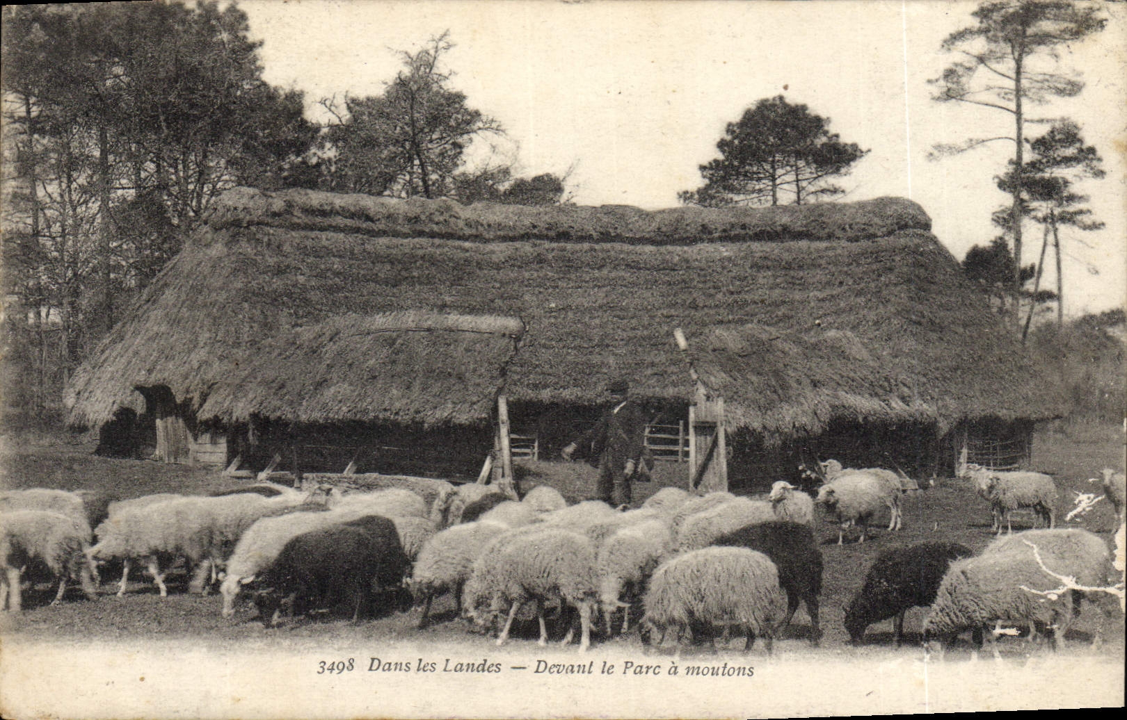 CPA Folklore Dans les Landes Devant le parc a moutons