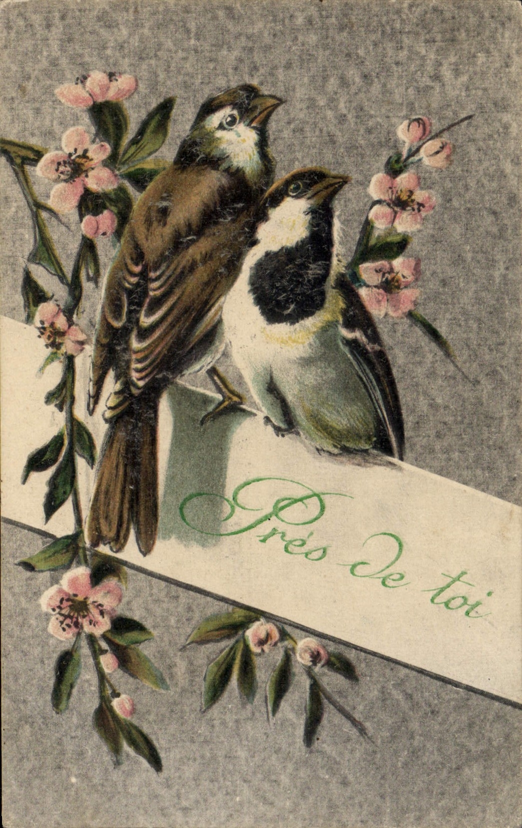 CPA Fantaisie Oiseaux
