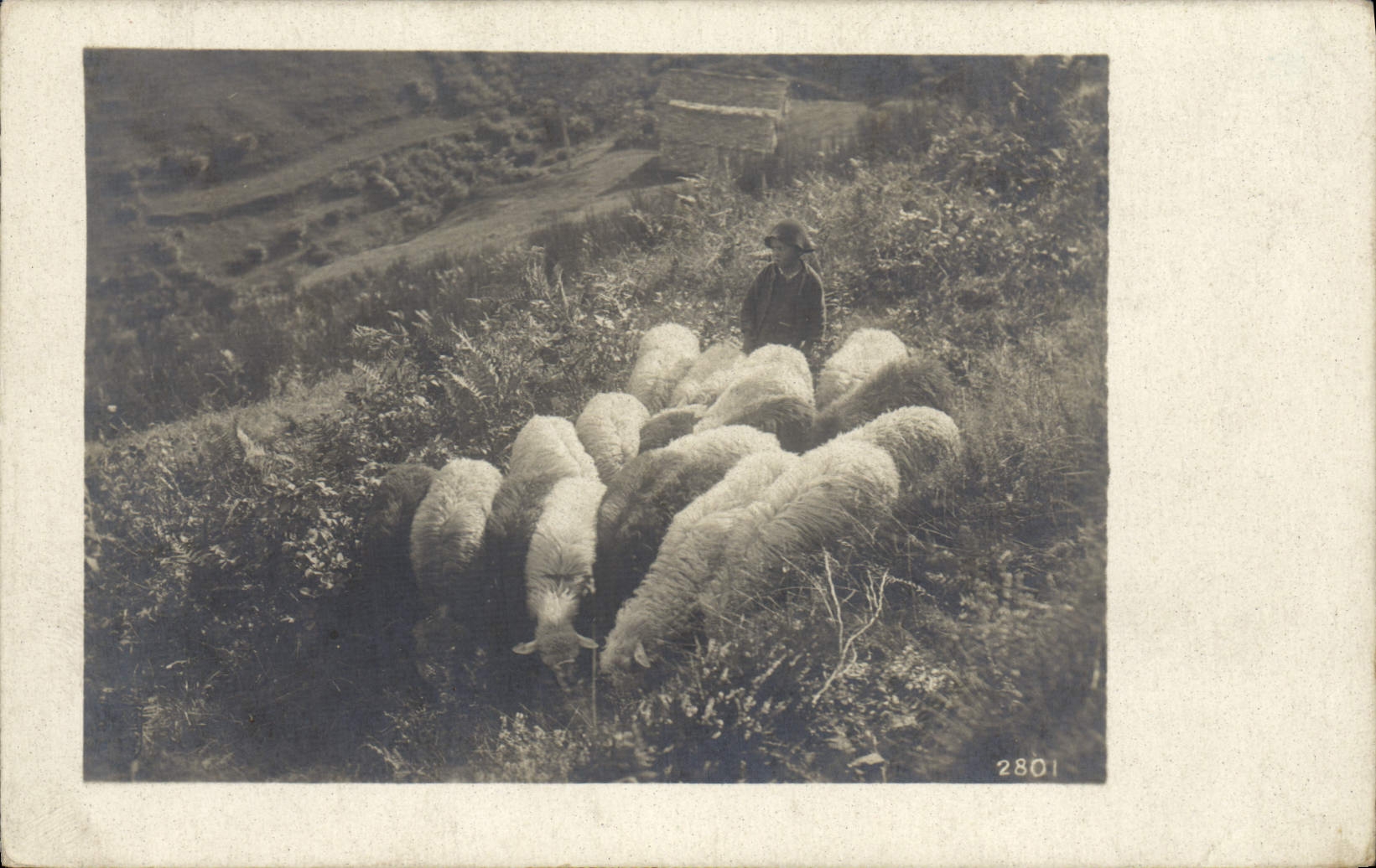 CPA Moutons 