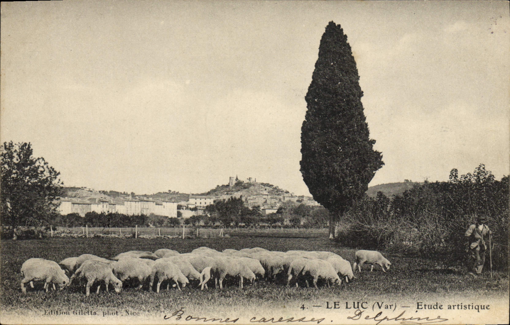 CPA Le Luc Etude artistique Moutons 