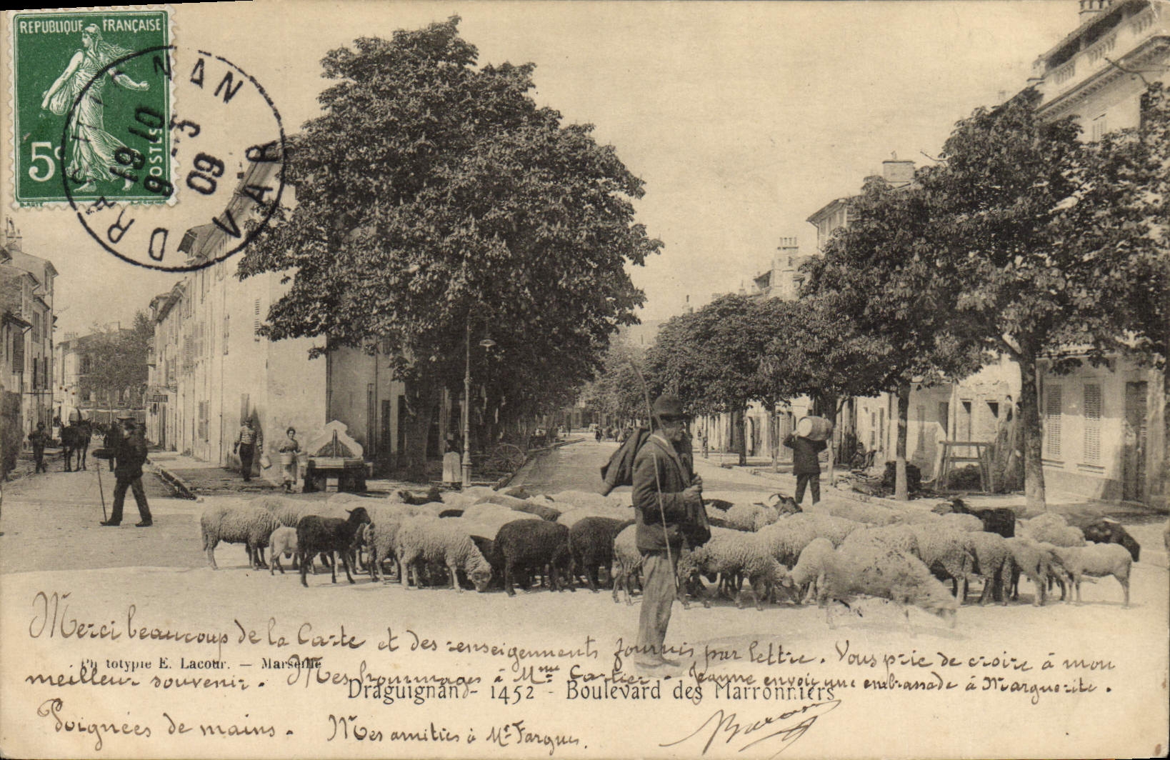 CPA Draguignan Boulevard des Marronniers Moutons 