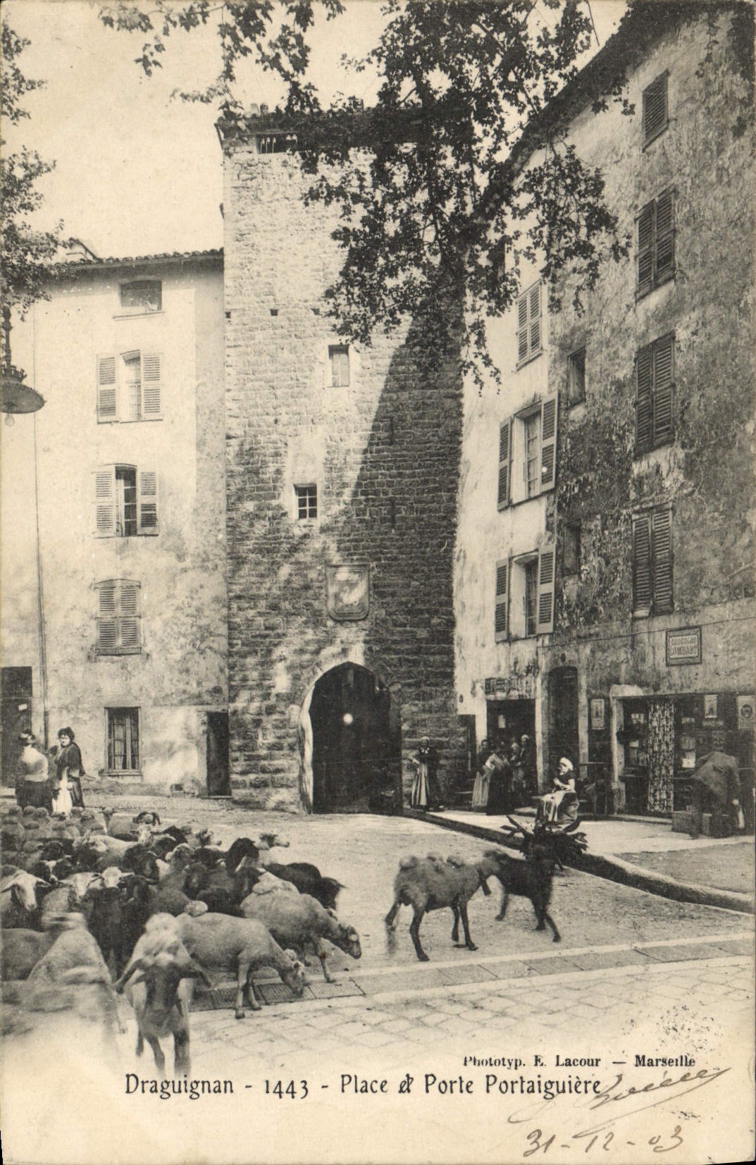 CPA Draguignan Place et porte Pontaiguiere Moutons 