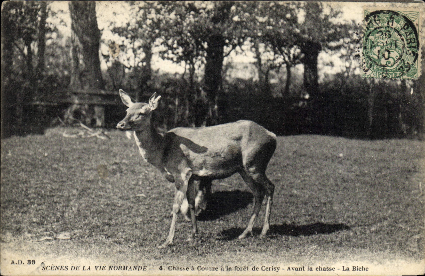 Postal Escenas de la vida Normanda Caza que debe perseguirse tiene el taladro de Cerisy antes de la caza la cierva
