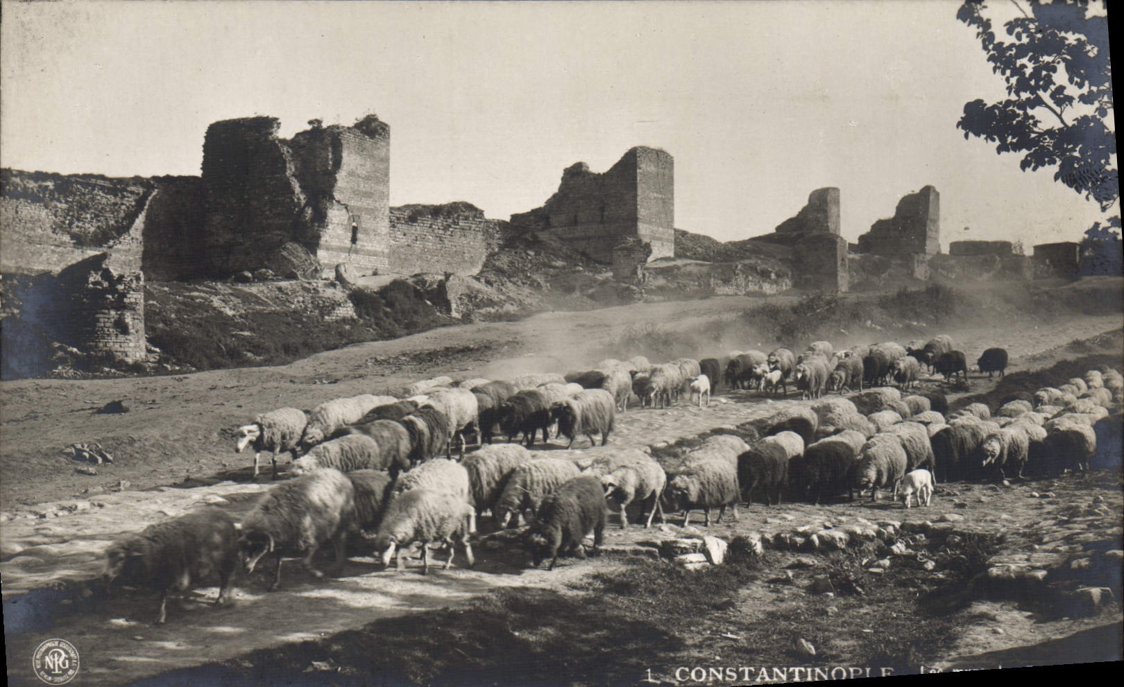 CPA Constantinople Turquie Les murs des 7 tours