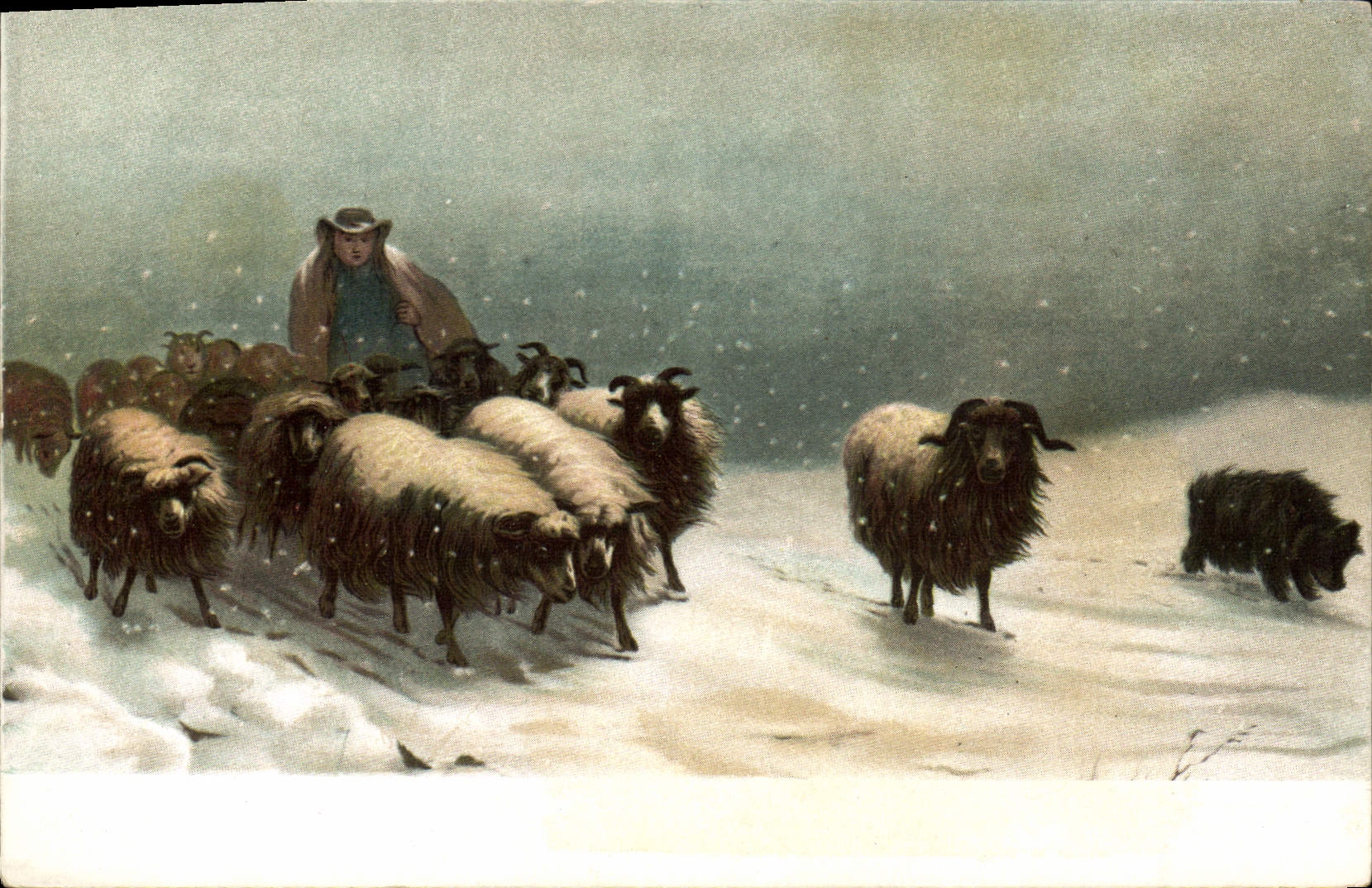 CPA Moutons 