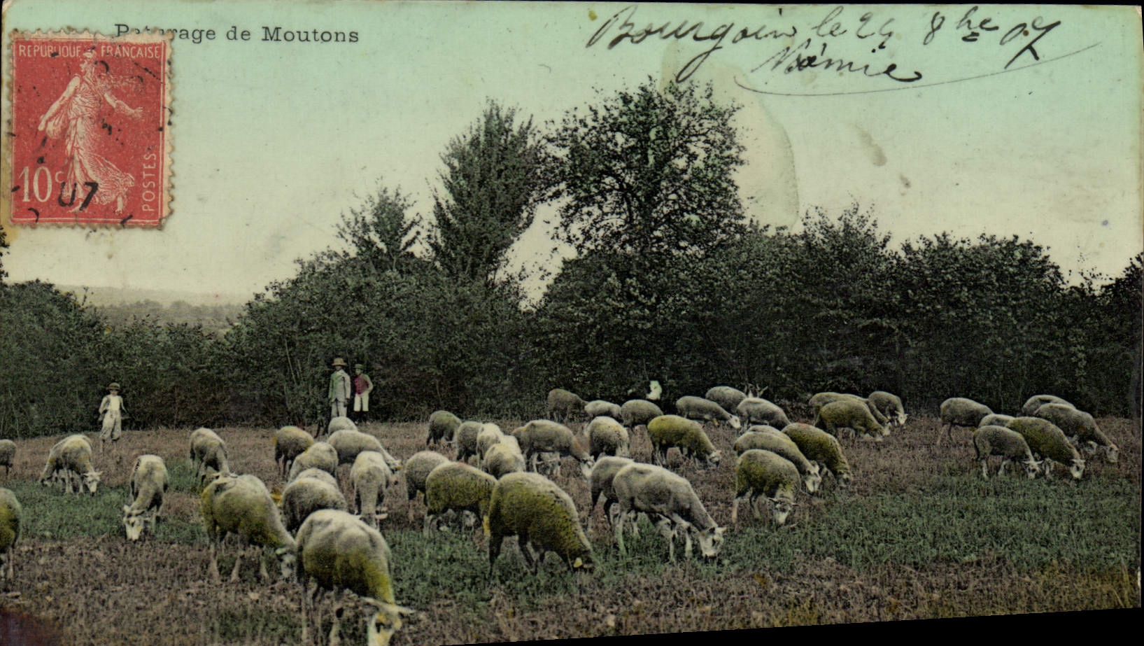 CPA Paturage de Moutons 