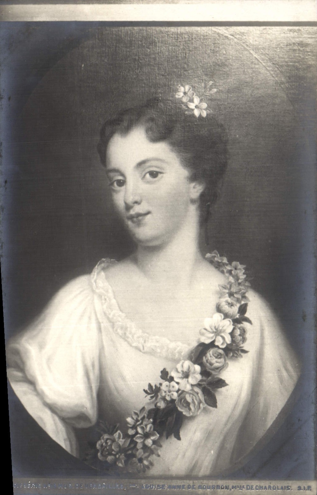 CPA Charolais Louise 