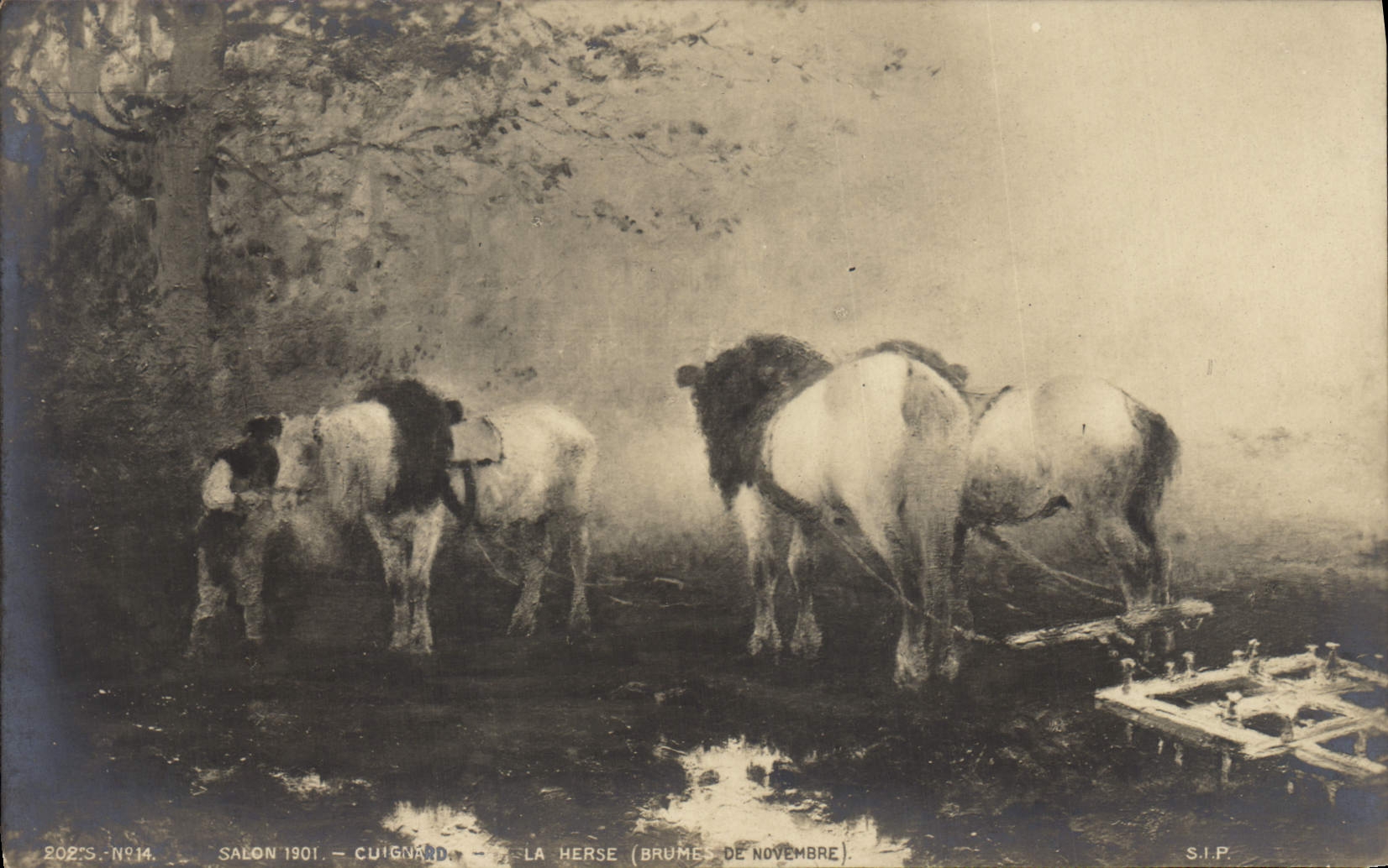 Postal Salón 1901 la grada Caballo Cuignard