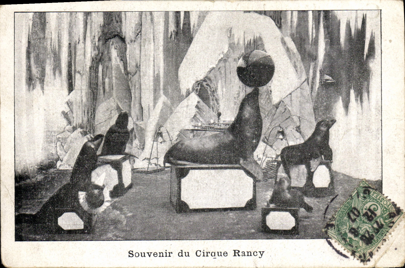 CPA Souvenir du cirque Rancy Phoques Phoque