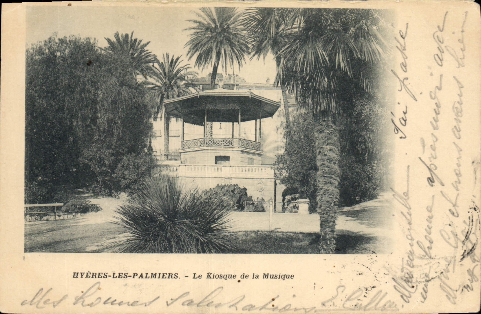 Vintage Postcard Hyeres Palm trees the kiosk of the music