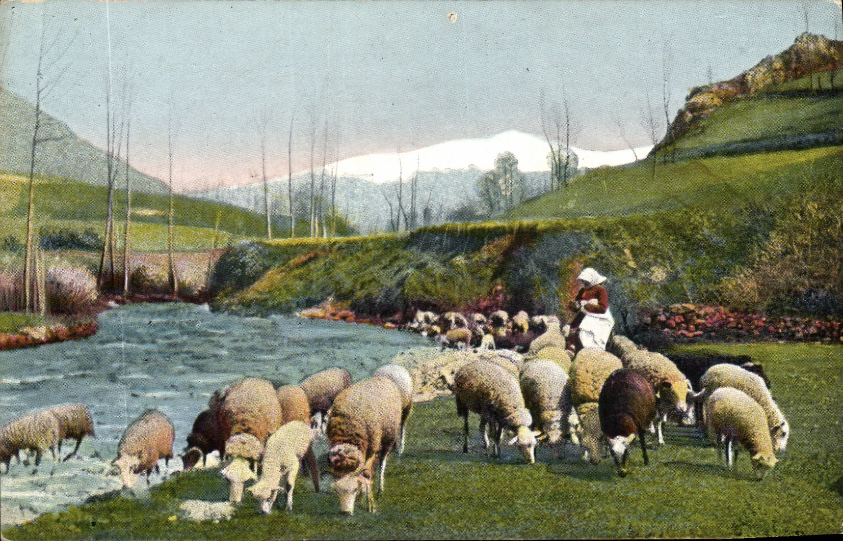 CPA Tableaux Pyrenees Troupeau au paturage 