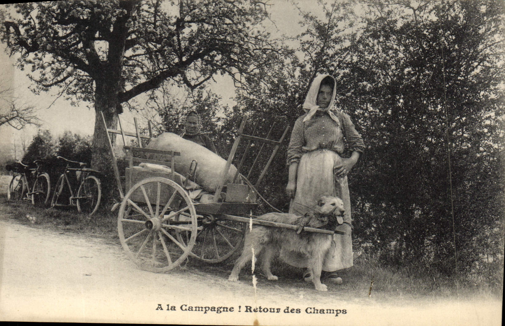 CPA Voiture a chien a la campagne REtour des champs Folklore TOP