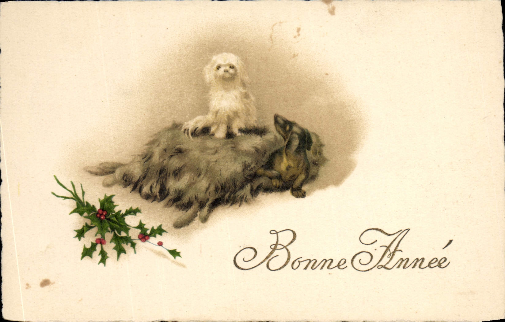 CPA Chien Chiens Basset 