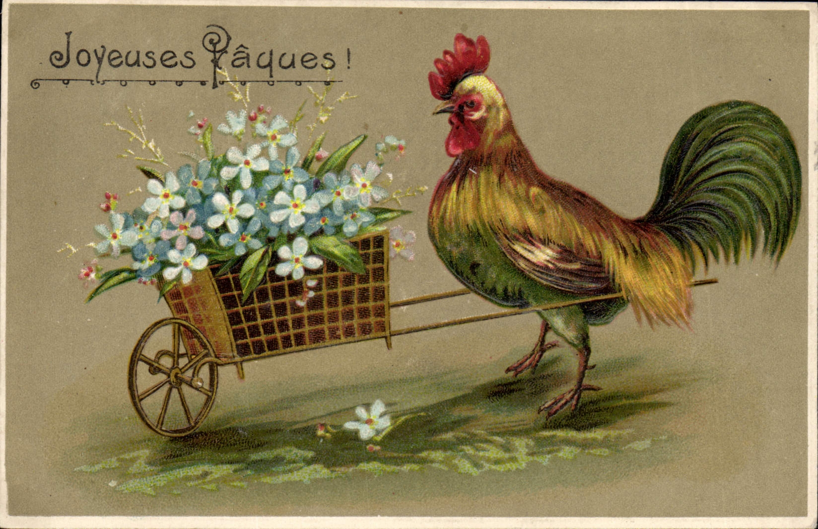Vintage Postcard Fantasy Flowers Cock