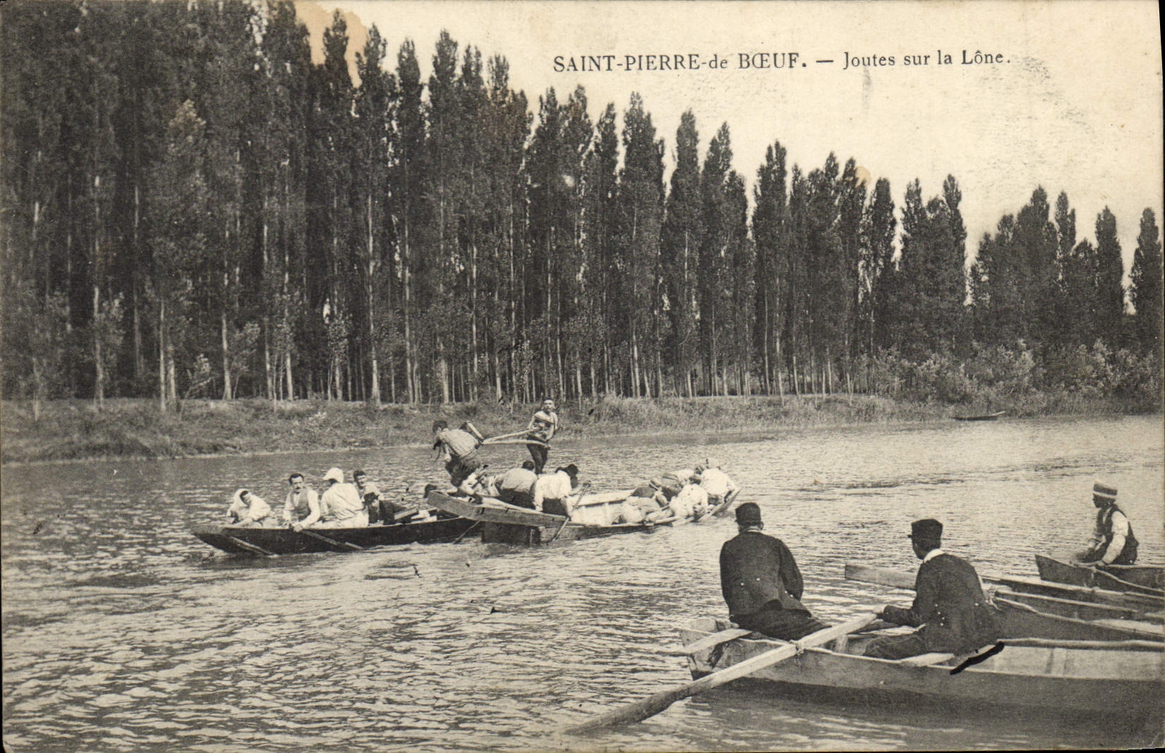 Vintage Postcard Saint Pierre of Beef animal Tournaments on the lone