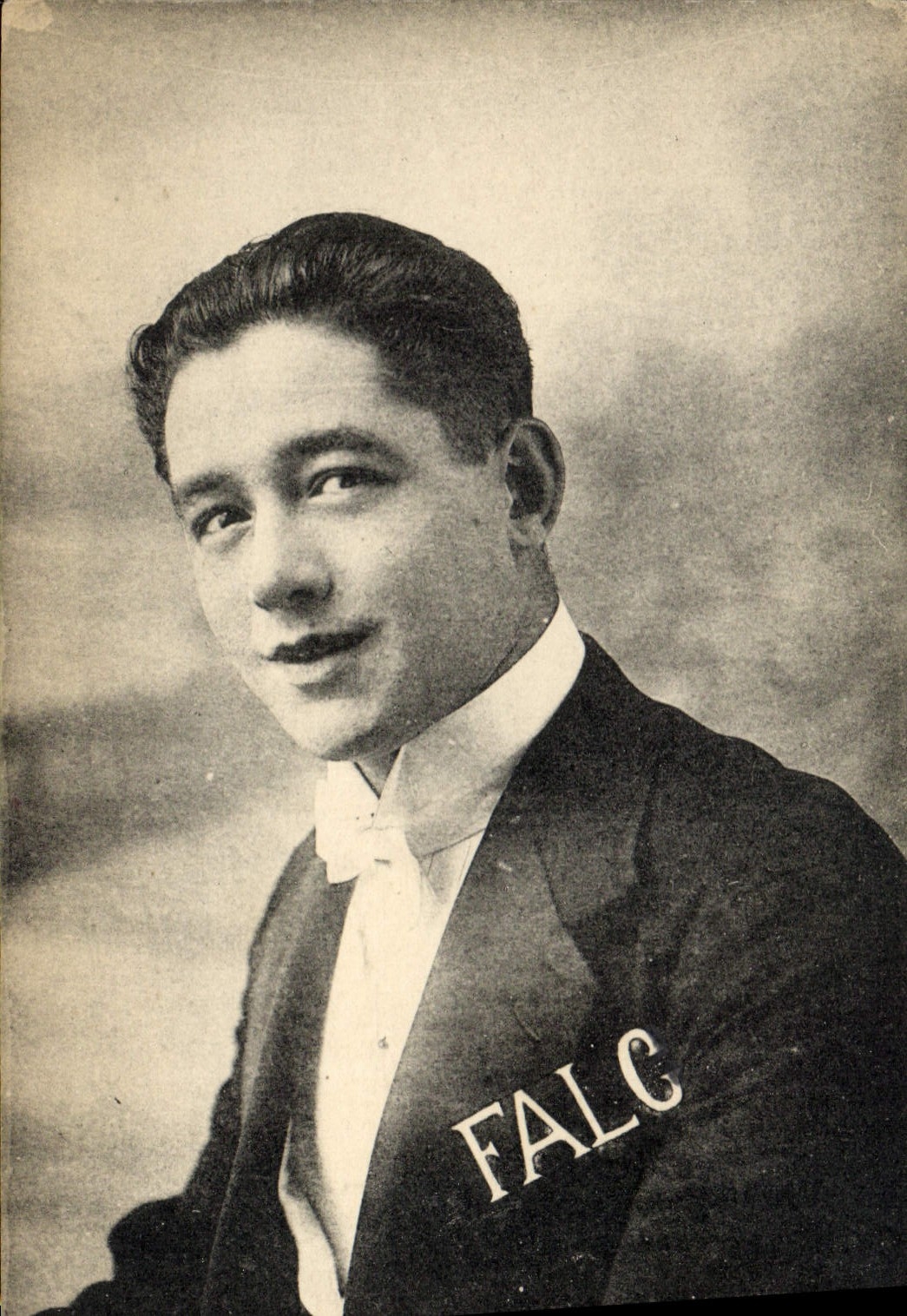 Vintage Postcard Falc