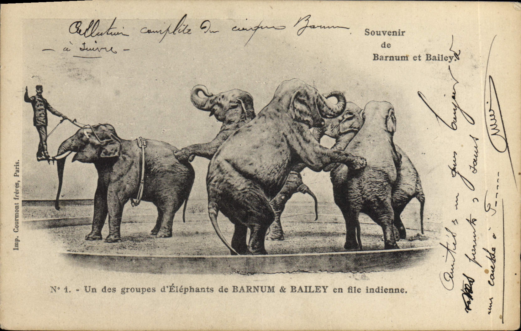 CPA Cirque Barnum & Bailey Un des groupes d'elephants TOP Elephant