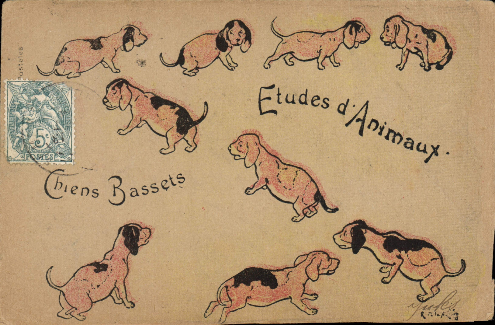 CPA Chien Chiens Basset 