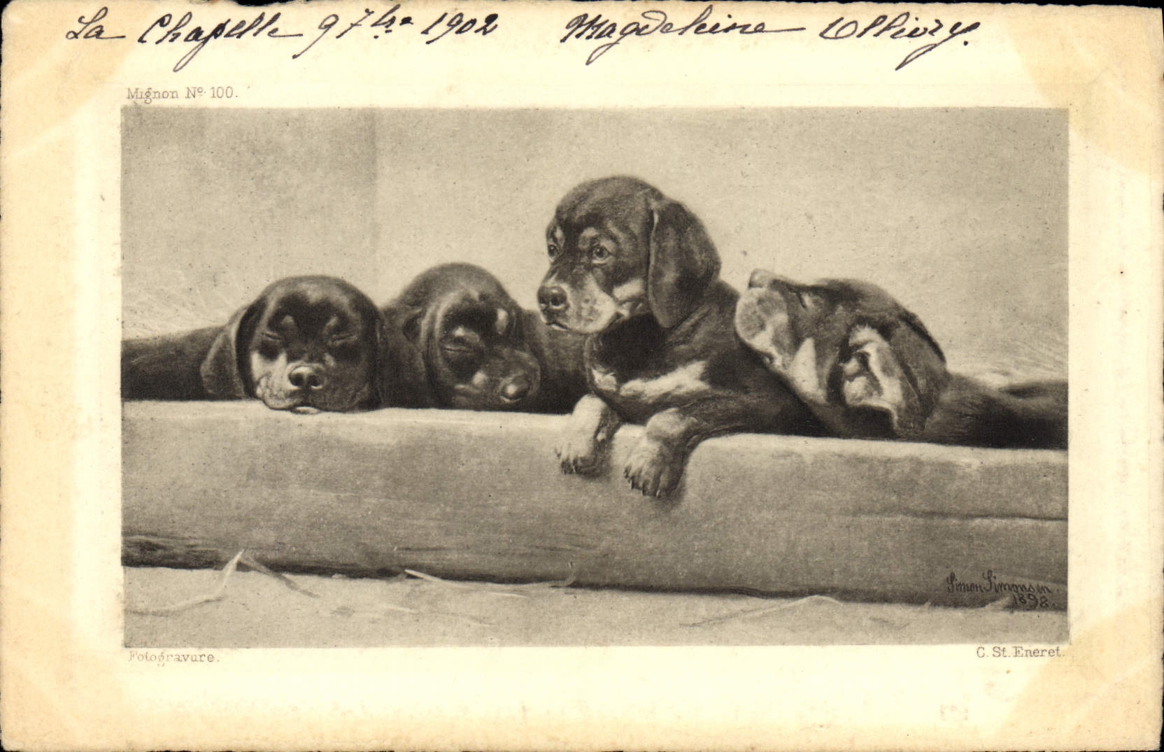 CPA Chien Chiens Bassets 