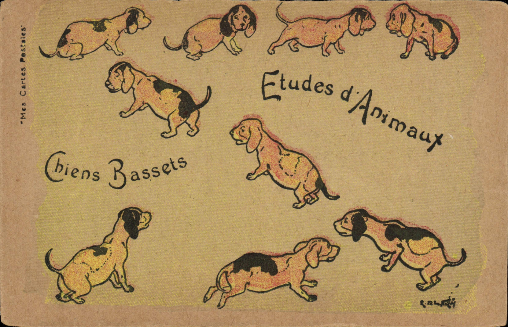 CPA Chien Chiens Bassets 
