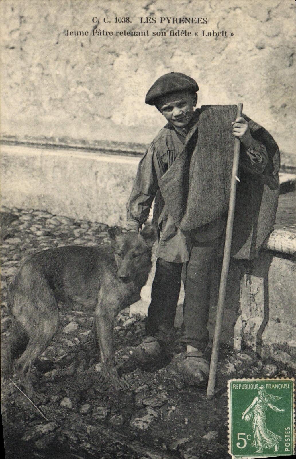 Vintage Postcard Dog Dogs the Pyrenees Young person Shepherd retaining his faithful Labrit SIGNAL