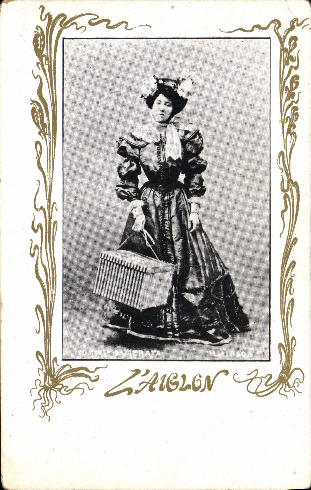 Vintage Postcard the Eaglet Camerata Countess