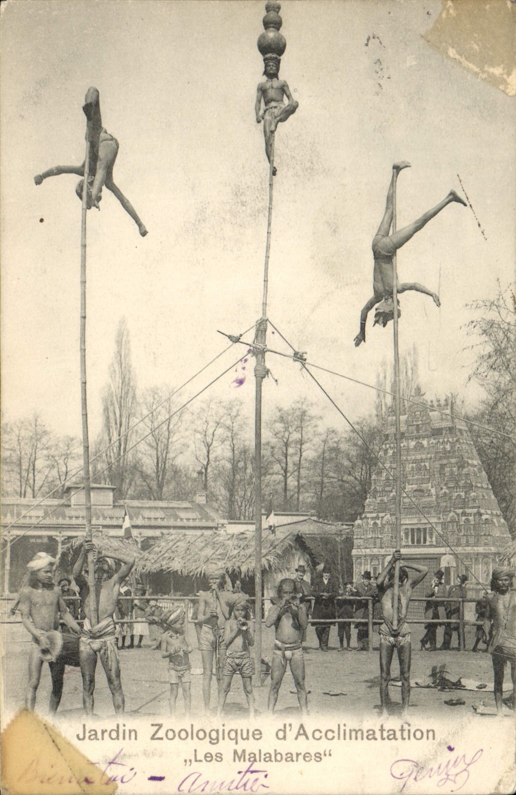 CPA Jardin zoologique d'acclimatation Les Malabares Zoo