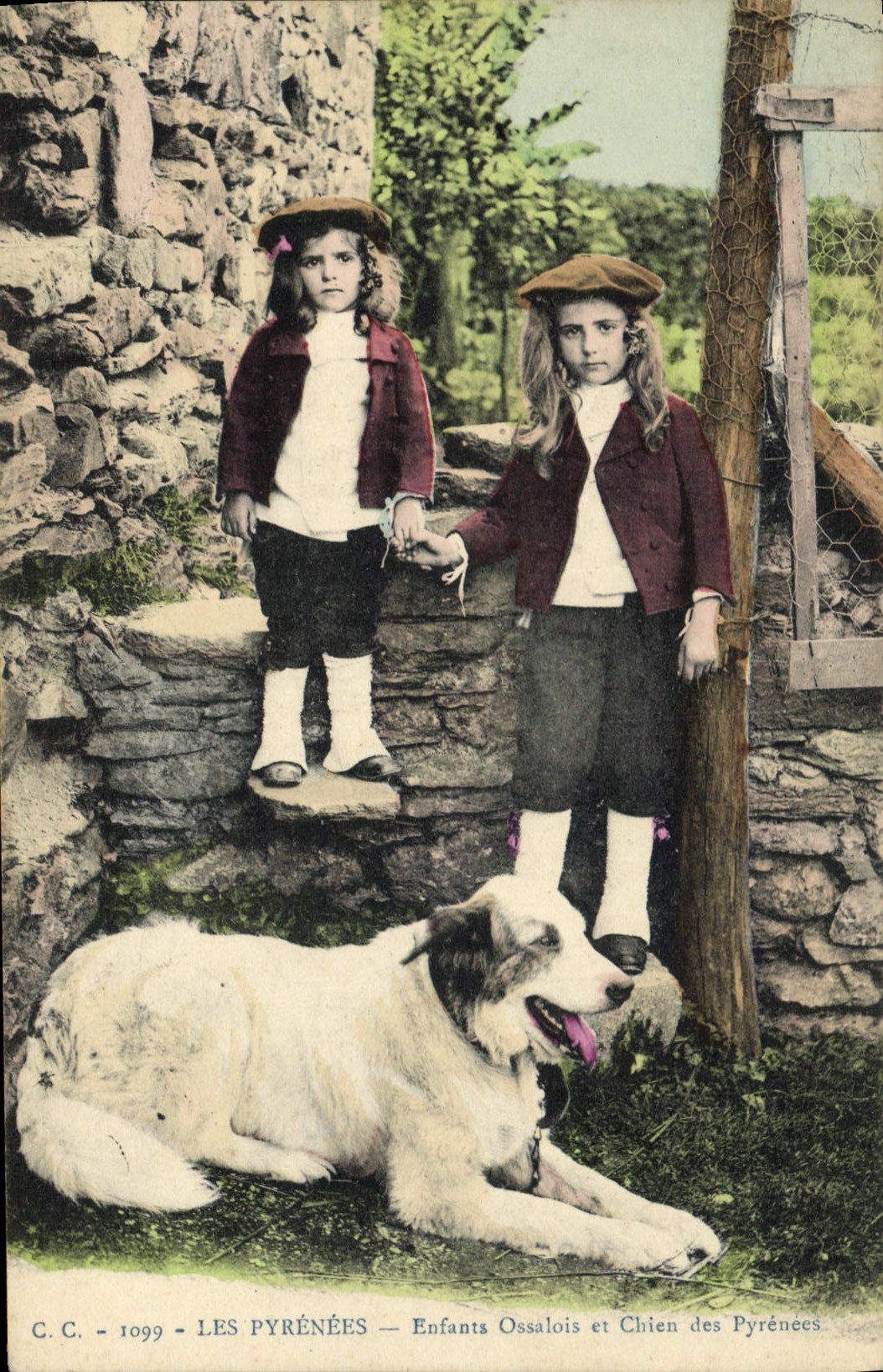 CPA Chiens Chien Pyrenees Enfants Ossalois et chien des Pyrenees