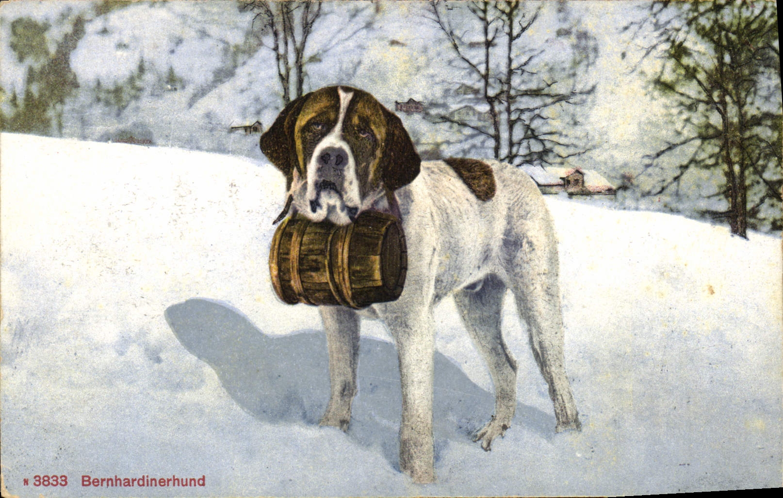 CPA Chiens Chien St Bernard