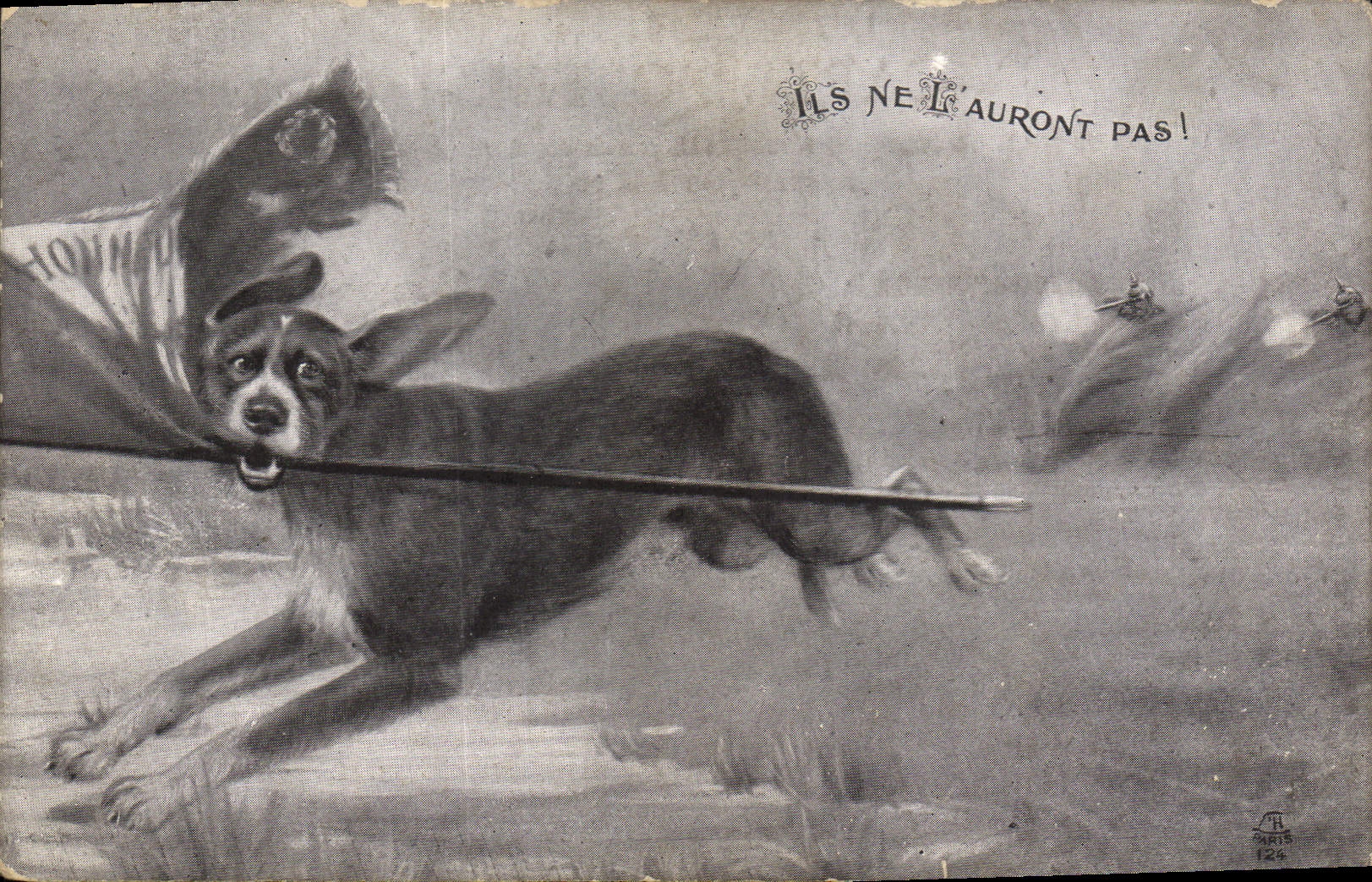 Vintage Postcards Militaria Chien They will not have it!