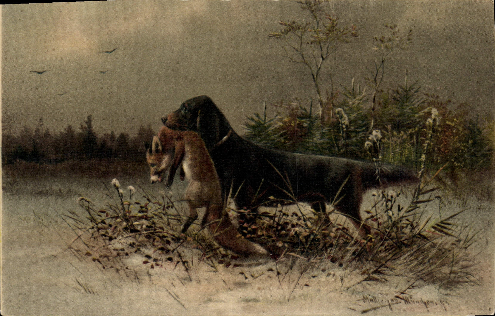 CPA Chasse Chien Renard 