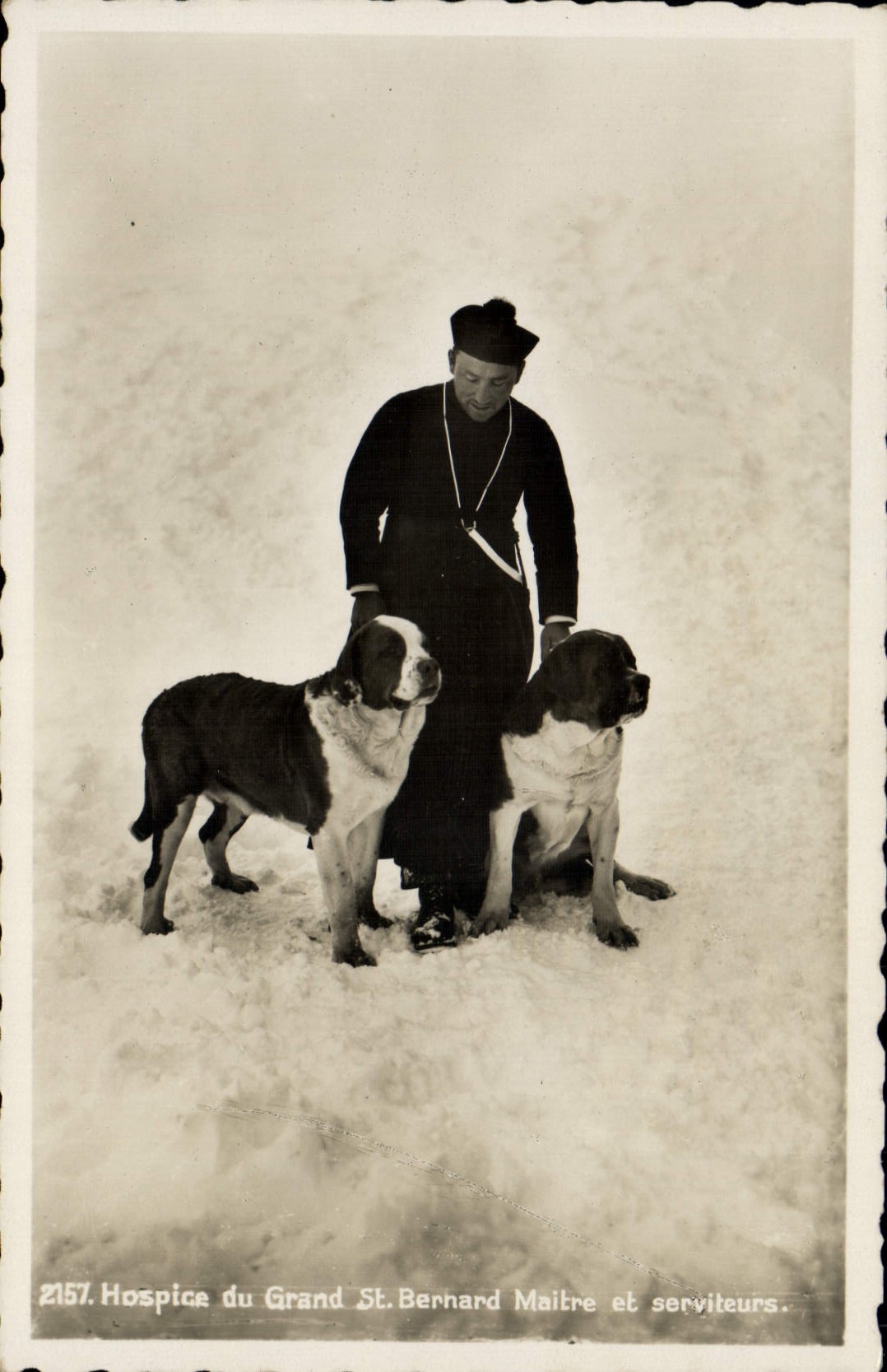 CPA Chien Chiens Hospice du Grand St Bernard Maitre et serviteurs 