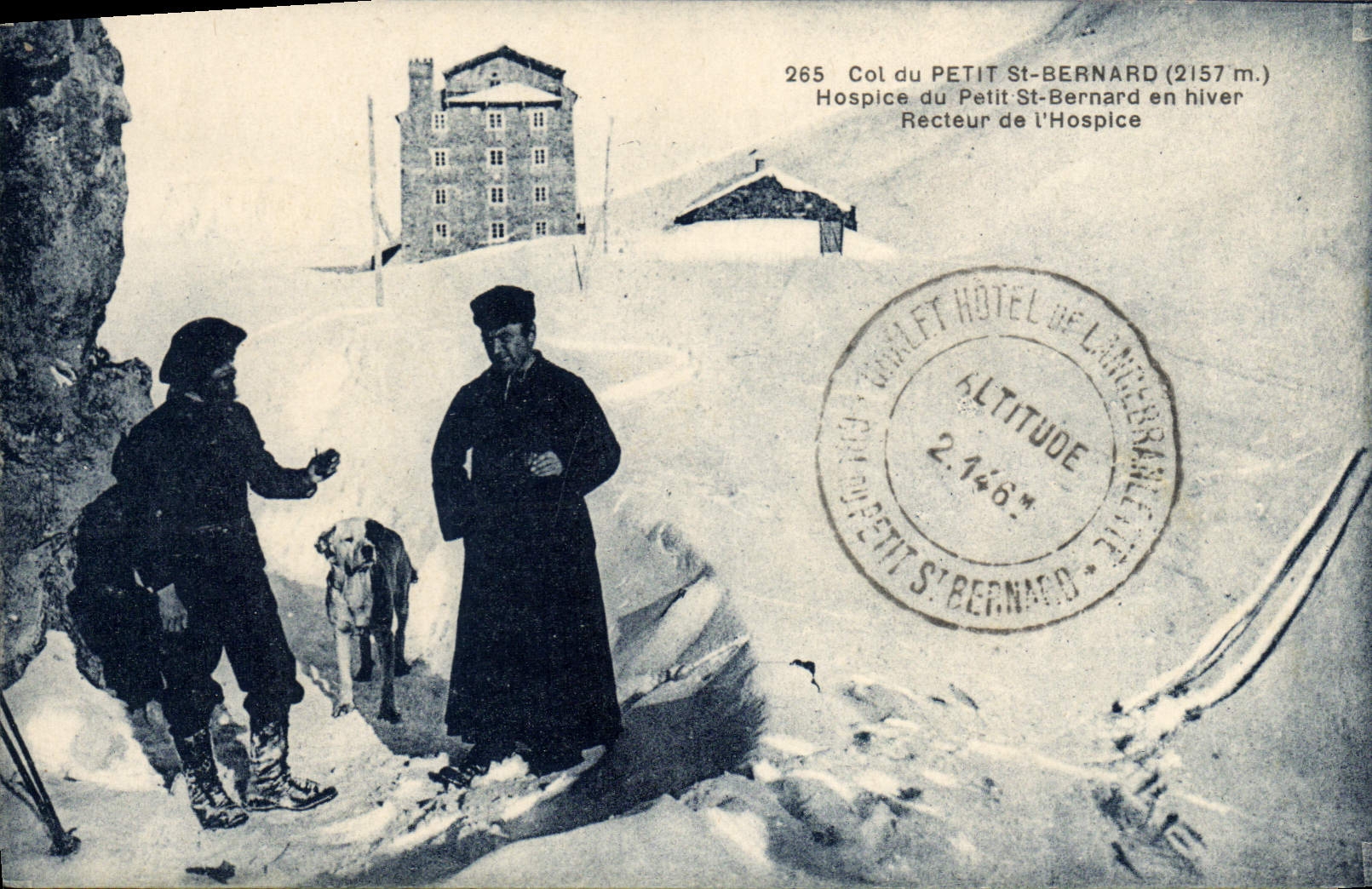 Vintage Postcard Dog Dogs Collar of Small St Bernard Hospice of Small St Bernard in winter Vice-chancellor of the old people's home