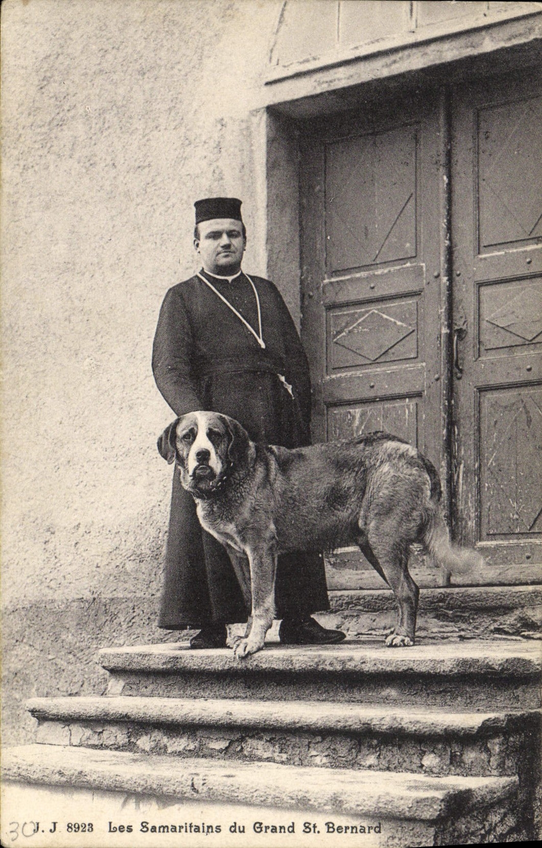 CPA Chien Chiens Les Samaritains du Grand St Bernard