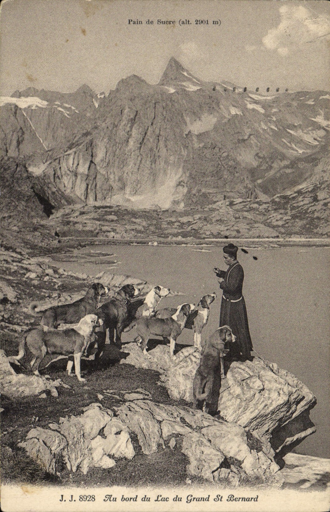 CPA Chien Chiens Au bord du Lac du Grand St Bernard 