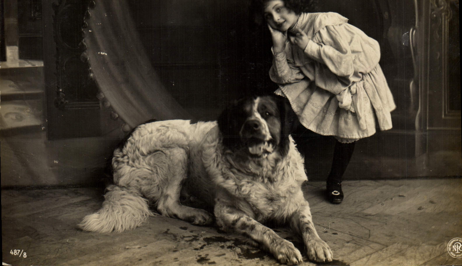 CPA Chien Chiens Enfant 