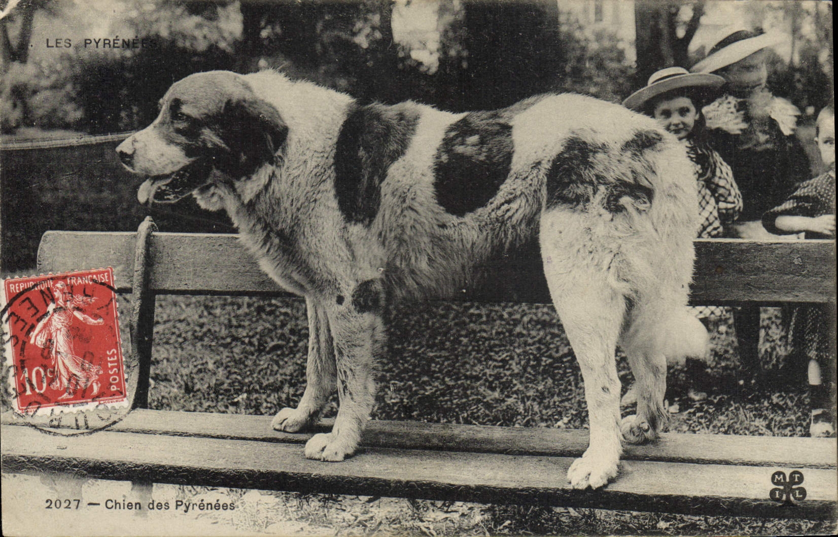 CPA Chien Chiens des Pyrenees Enfants 