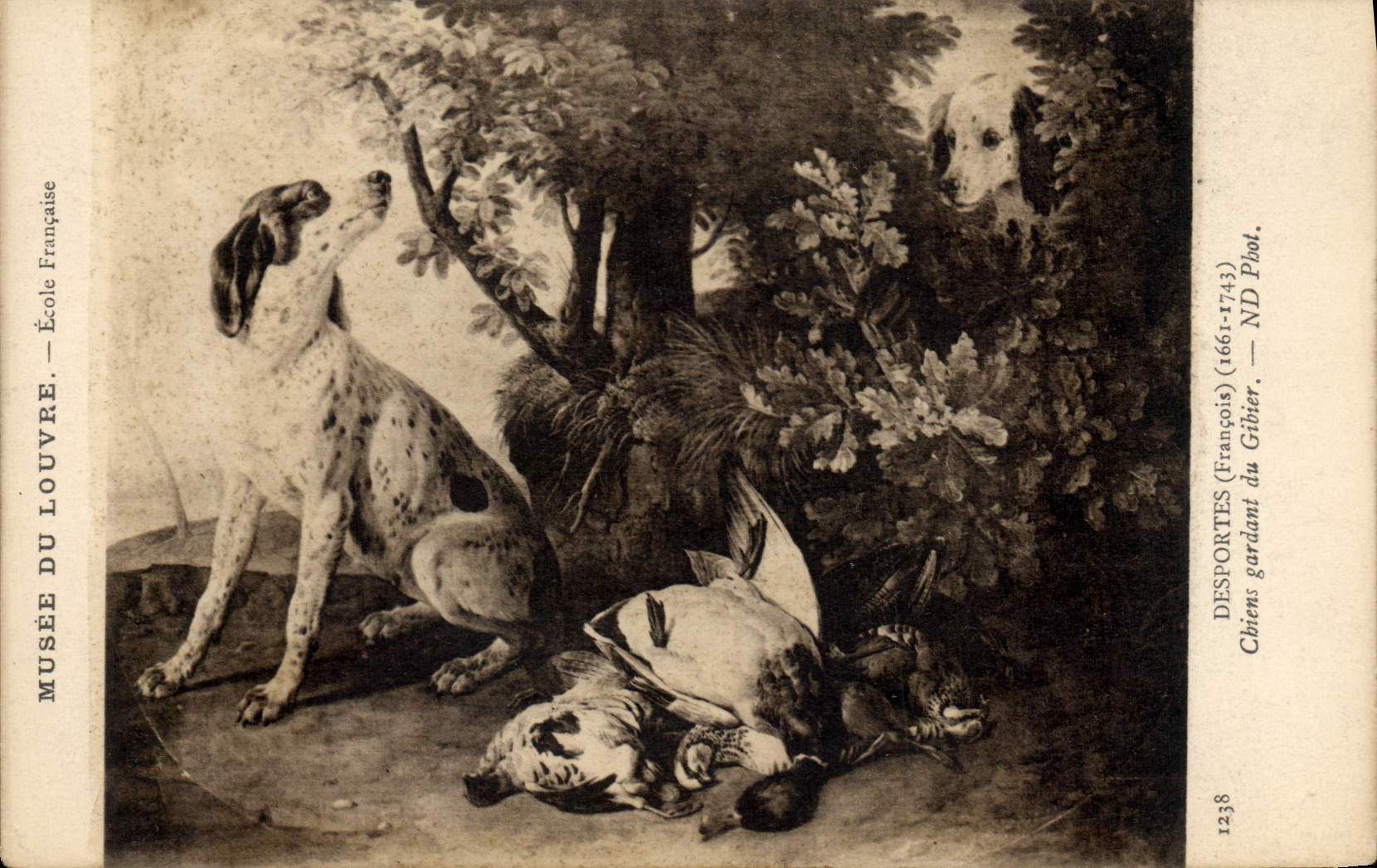 Postal Caza Desportes Perros que guarda a caza