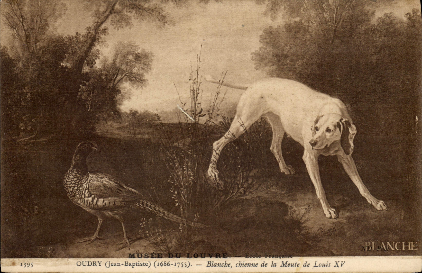 CPA Chasse Oudry Blanche chienne de la meute de Louis XV Chien