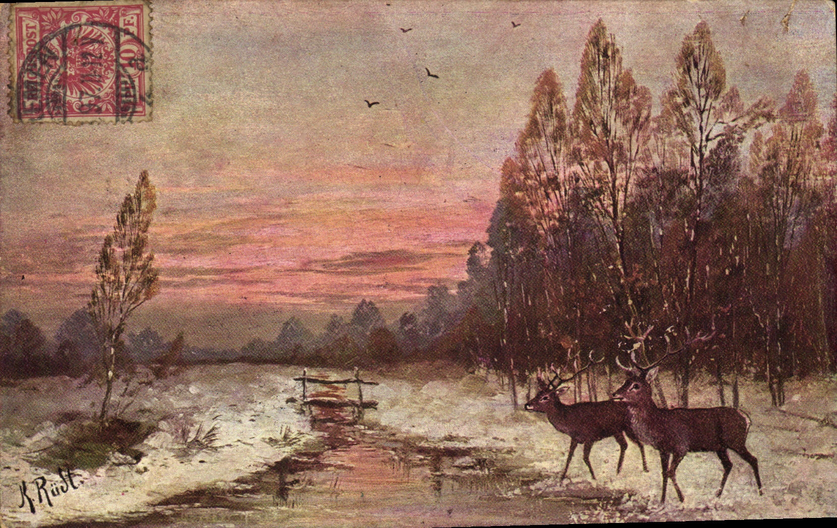 Postal Caza Ciervas Cierva