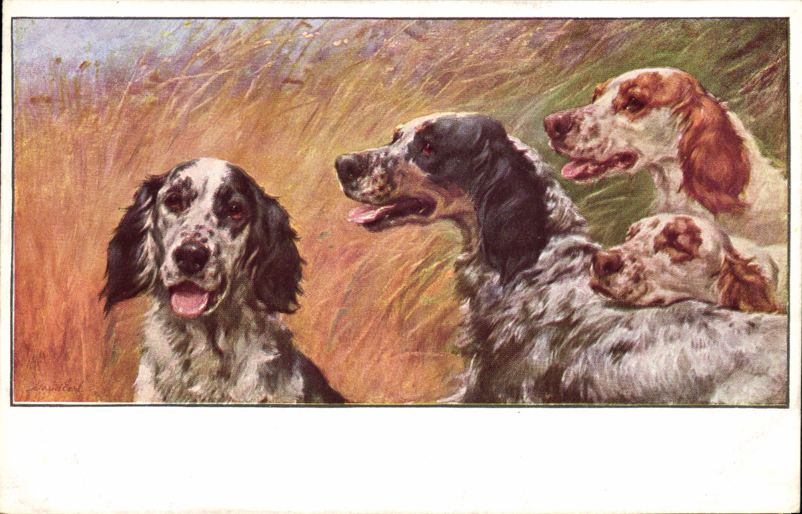 CPA Chasse Chien Chiens 