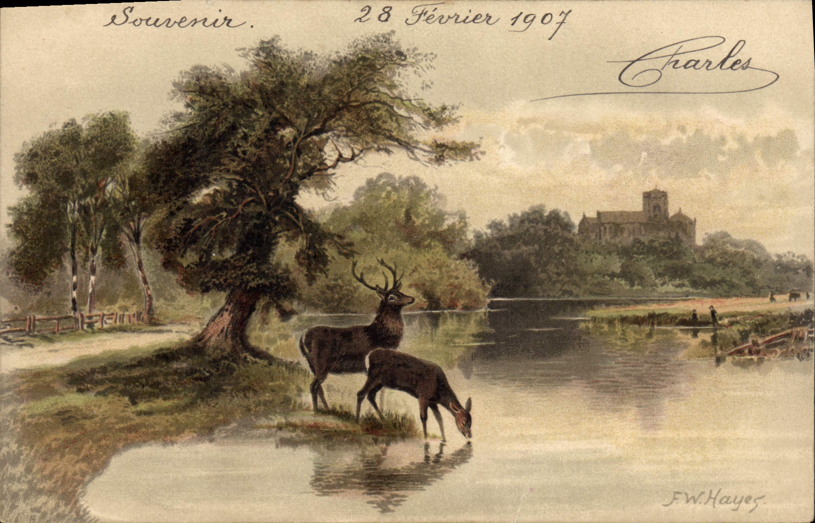 CPA Chasse Cerf Biche 