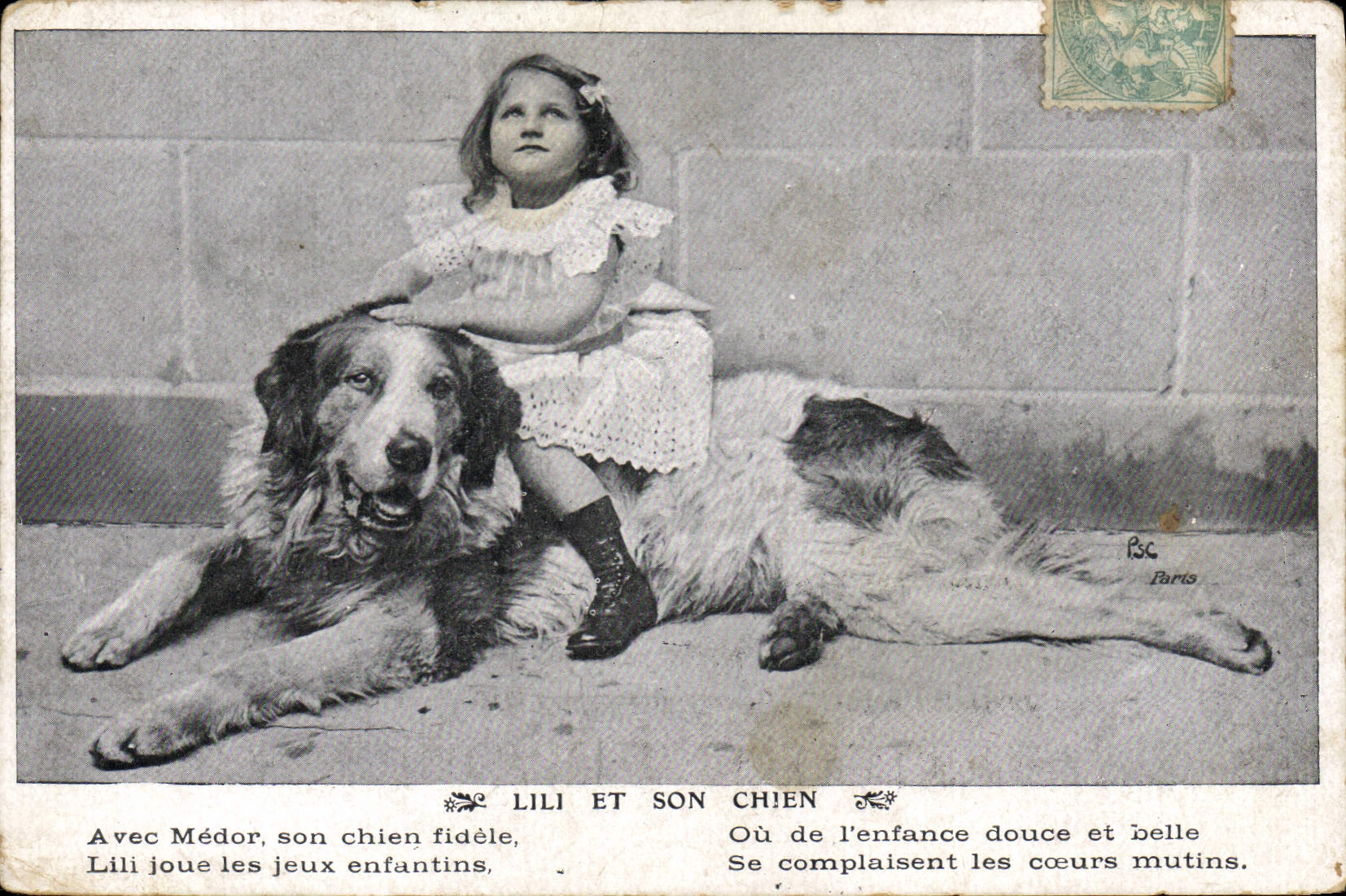 CPA Chien Chiens Enfant