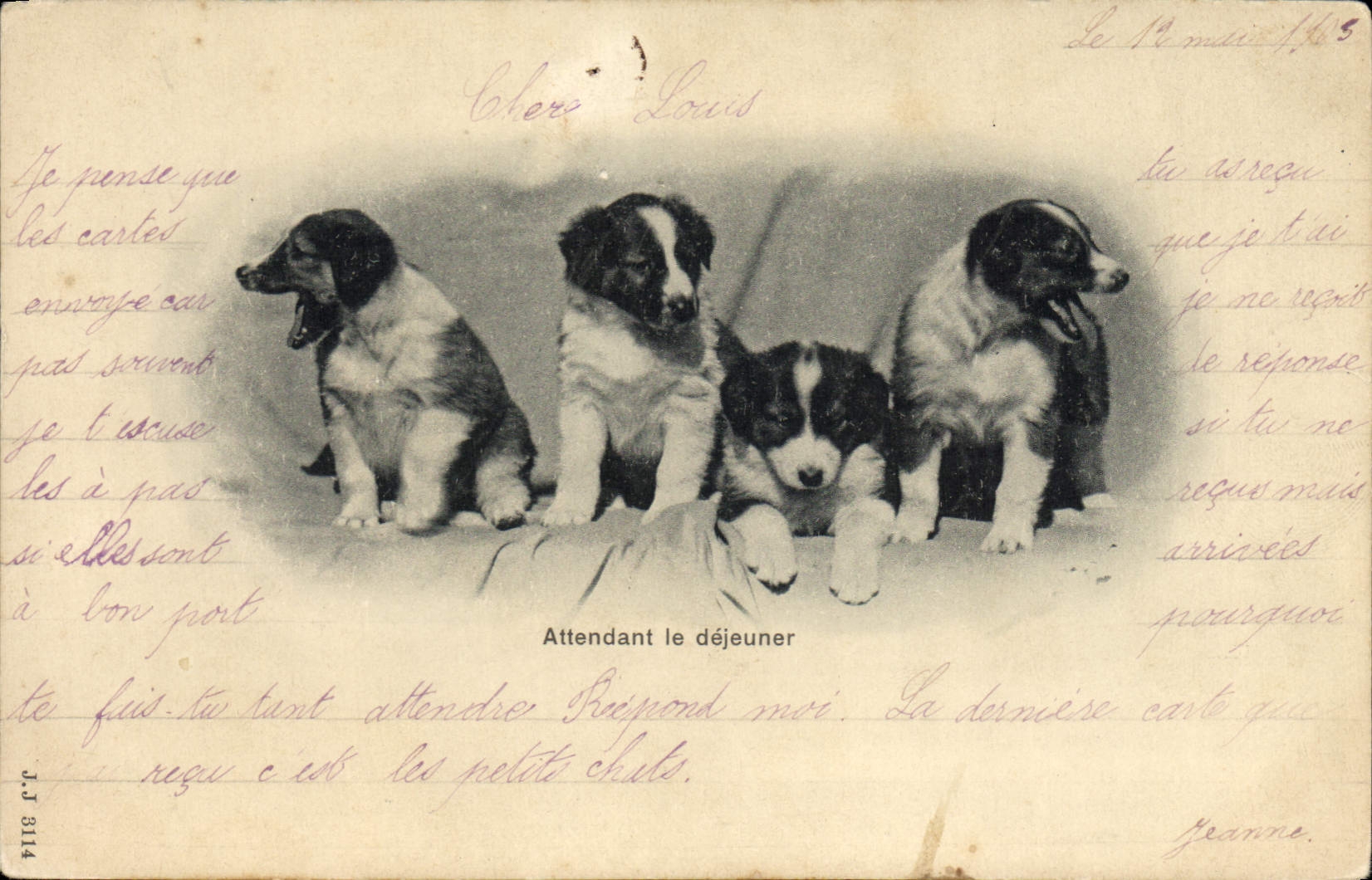 CPA Chien Chiens Attendant le dejeuner 
