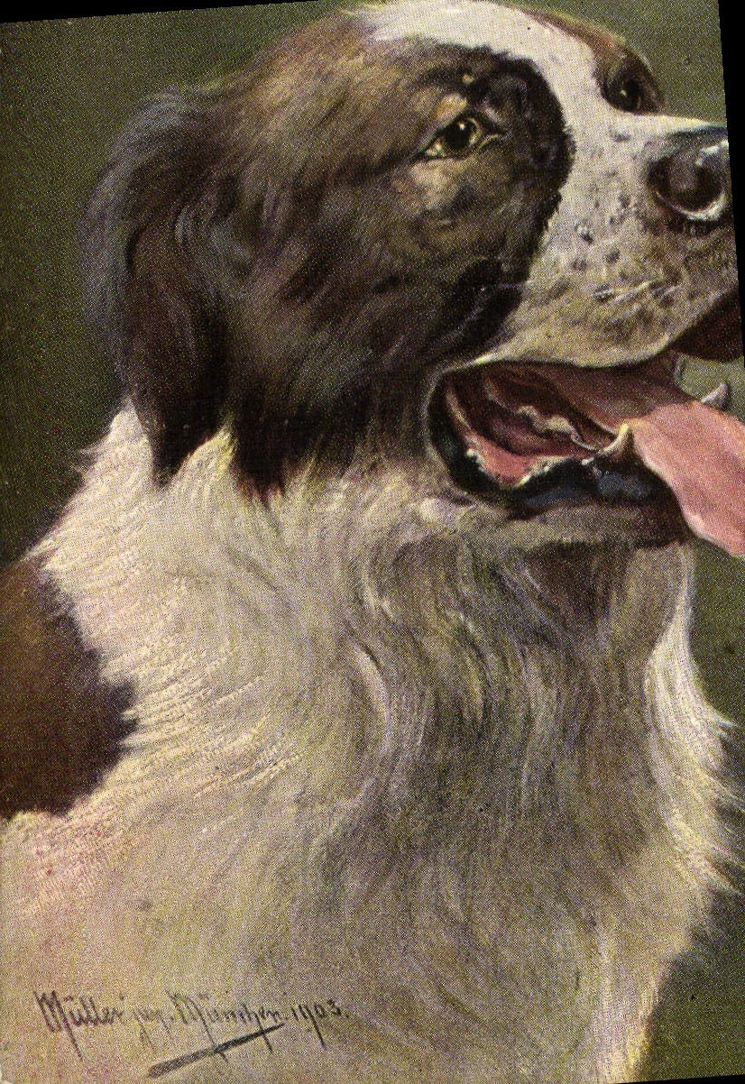 CPA Chien Chiens 